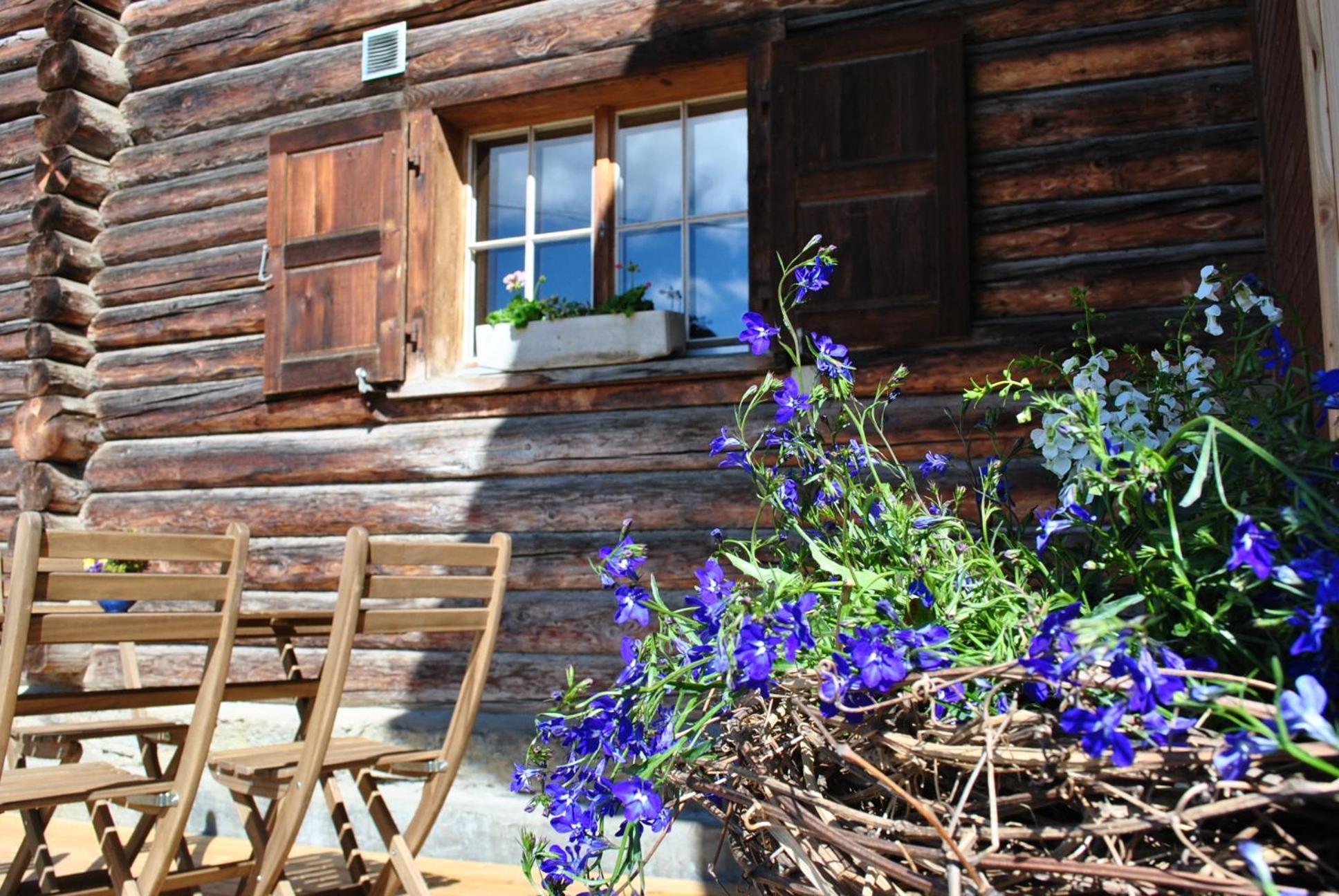 Ferienwohnung Hof Surri Schiers Exterior foto